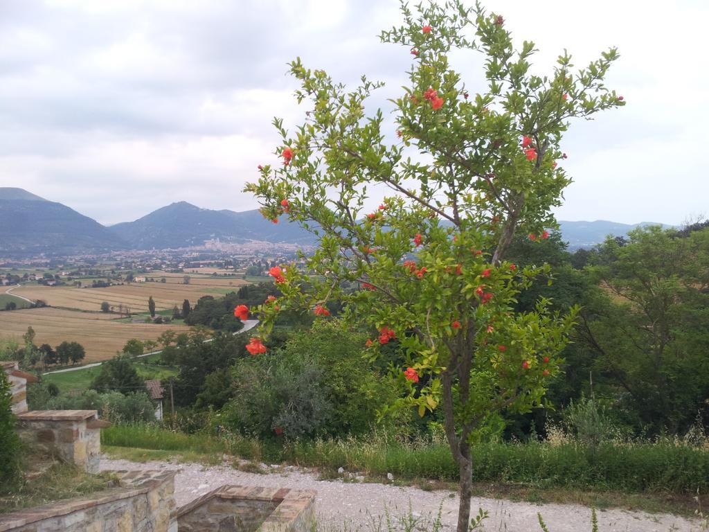 Villa Fonte Chiara Gubbio Zimmer foto